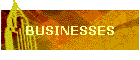 BUSINESSES